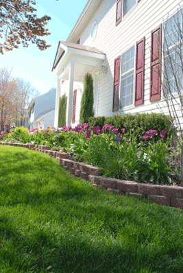 Curb Appeal Lawn & Garden