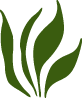 Curb Appeal Lawn & Garden Ltd.